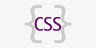 CSS logo